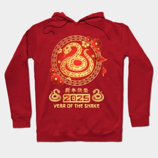 The Year Of Snake 2025 Hoodie